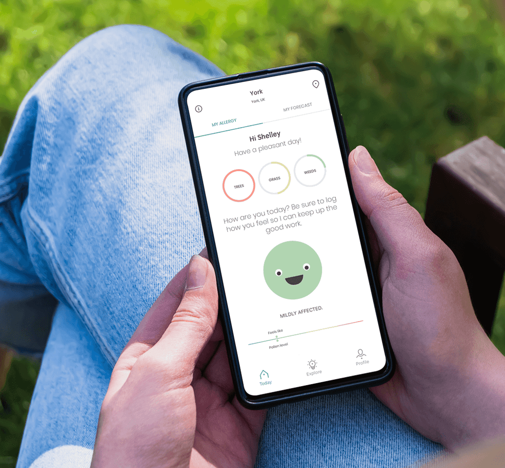 Someone sitting on a park bench checking the klarify app on their mobile to see the pollen forecast for where they live