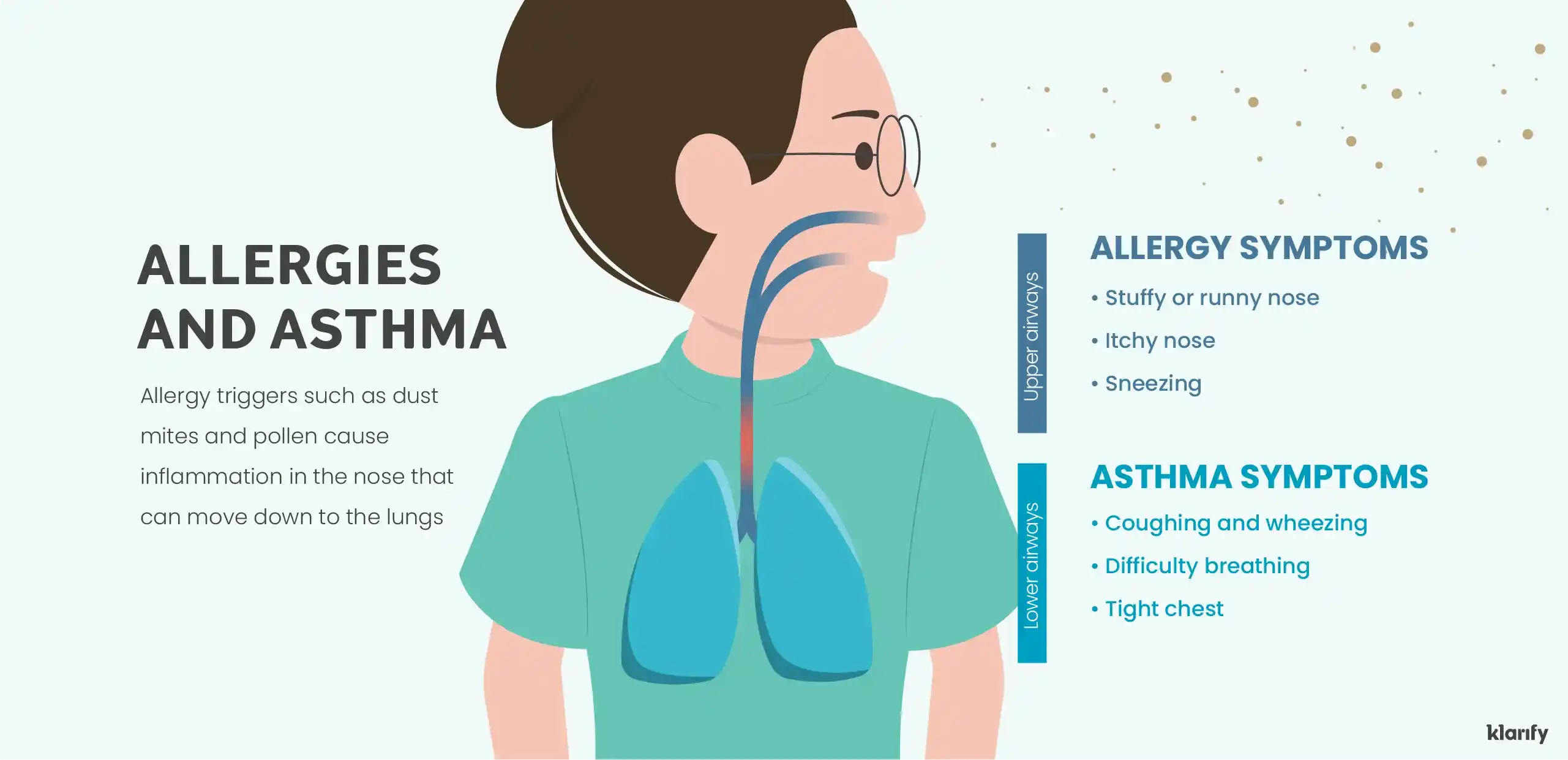 Infographic describing the possible connection between respiratory allergies and asthma. Details of the infographic listed below.